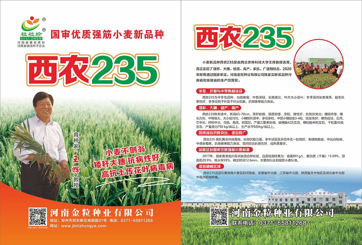 西農(nóng)235單頁(yè)